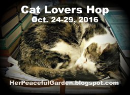 2016 Cat Lovers Hop